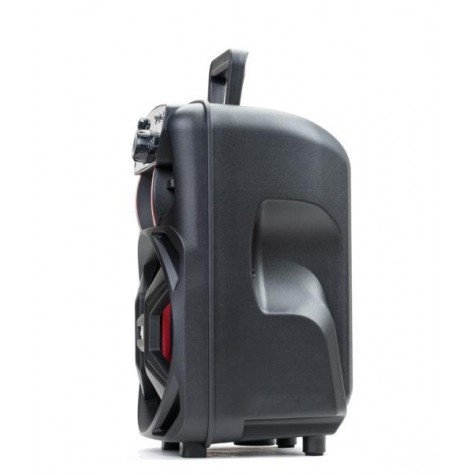 Caixa Amplificada Amvox ACA 221 Gigante II