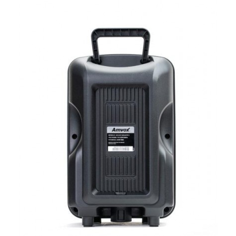 Caixa Amplificada Amvox ACA 221 Gigante II